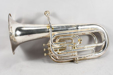 baritonhorn gebraucht kaufen  Neu-Ulm