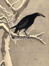 Japan nature crow for sale  EDINBURGH