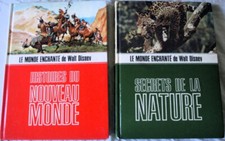 Lot livres disney d'occasion  Pont-Audemer