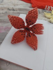 Hmp oragami orchid for sale  TIPTON