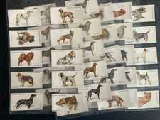 Cigarette cards dogs for sale  SOUTH SHIELDS