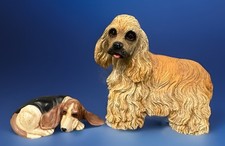 Blonde cocker spaniel for sale  Milton