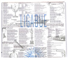 Ebond ligabue ligabue usato  Italia