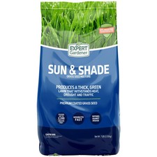 Kentucky bluegrass northern for sale  Nyack