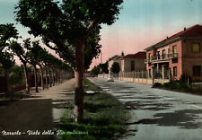 Narzole cuneo viale usato  Stella