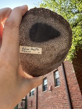 Vtg palm agate for sale  Highland Park