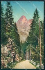 Trento San Martino di Castrozza Passo Rolle Sentiero cartolina MX3105 comprar usado  Enviando para Brazil