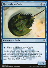 Horseshoe crab for sale  NOTTINGHAM