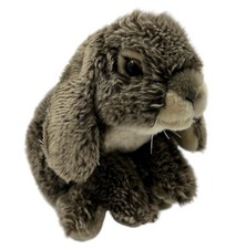 Lop ear rabbit for sale  Auburn