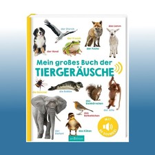 Großes buch tiergeräusche gebraucht kaufen  Bornheim