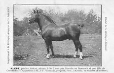 Cpa bretagne hippique d'occasion  Claira