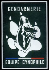 Gendarmerie equipe cynophile d'occasion  Saint-Etienne-de-Tulmont