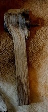Awesome natural oddity for sale  Mamou