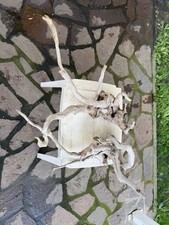 N.2 legni naturali usato  Roma