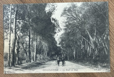 Cpa algeria costantina usato  Spedire a Italy