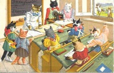 Chats humanises cours d'occasion  Rosheim