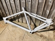 Santa cruz chameleon for sale  SANDOWN