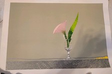 Edolo masci fiore usato  Atripalda