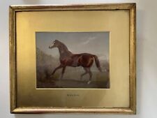 Harry hall oil for sale  BRISTOL
