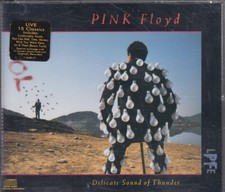 Pink floyd delicate gebraucht kaufen  Groß-Umstadt