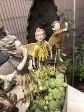 Riginal flower fary gebraucht kaufen  Darmstadt