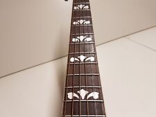 Nashville electro acoustic gebraucht kaufen  Deutschland