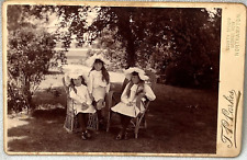 Cabinet card parkes for sale  CHESTERFIELD