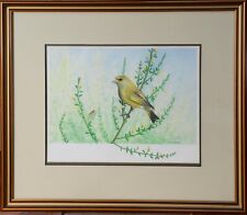 Signed original ornithology for sale  MANCHESTER