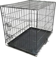 Kingpets medium dog for sale  UK