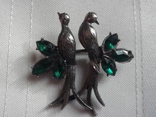 love birds for sale  HAVERHILL