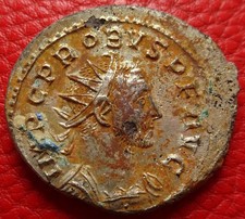 Superbe aurelianus probus d'occasion  France