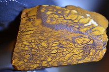 euroriding opal gebraucht kaufen euroriding opal gebraucht kaufen Lohfelden