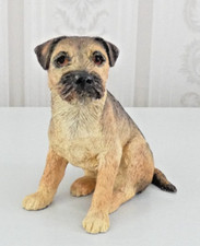 Border terrier sitting for sale  EASTBOURNE