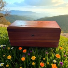 Lane cedar chest for sale  Yukon