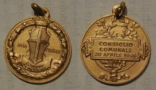 Medaglia consiglio comunale usato  Italia