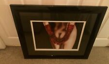 Drew darcy demure for sale  MANSFIELD