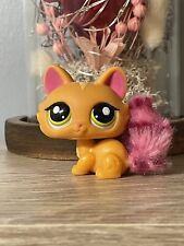 Petshop chat sphynx d'occasion  Expédié en Belgium