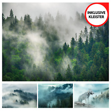 Wald nebel wolf gebraucht kaufen  Berlin