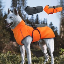 Veste chien chien d'occasion  France