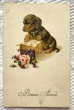 Cpa fantaisie chiot d'occasion  France