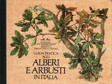 Guida pratica agli usato  Cambiago