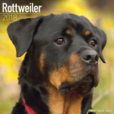 Calendrier 2018 rottweiler d'occasion  Troyes