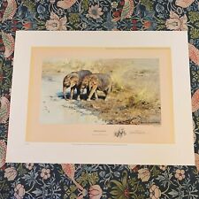 Limited elephant print for sale  BARNETBY