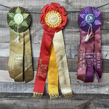 Ribbons rosettes lot for sale  Snohomish