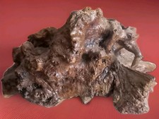 Grandissima scultura naturale usato  Torrenova