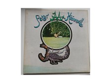 Peter hammill chameleon gebraucht kaufen  Hamburg