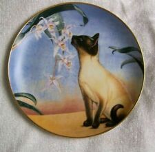 Cat plate siamese for sale  THORNTON-CLEVELEYS