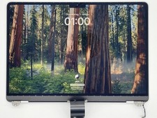 Riginal lcd display gebraucht kaufen  Kastellaun
