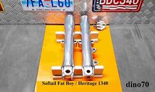Harley davidson foderi usato  Nocera Superiore