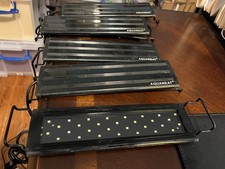 10 gallon fish tank for sale 10 gallon fish tank for sale Sebring